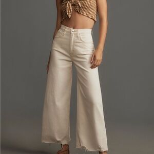 Hudson Jeans James High Rise Wide Leg Crop Jean